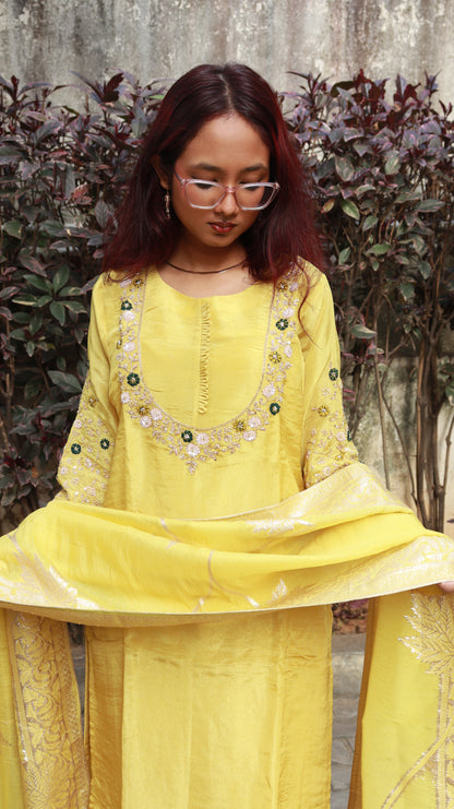 Baraat 3-piece Kurti set